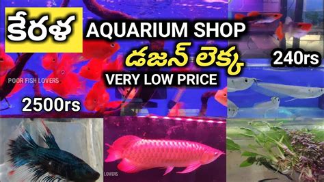 Mruthasanjeevani Eco-Aquarium Shop